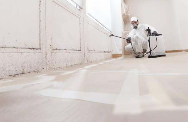 24/7 Emergency Basement Mold Remediation experts in New Park, PA